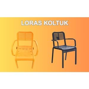 STARS LORAS KOLTUK